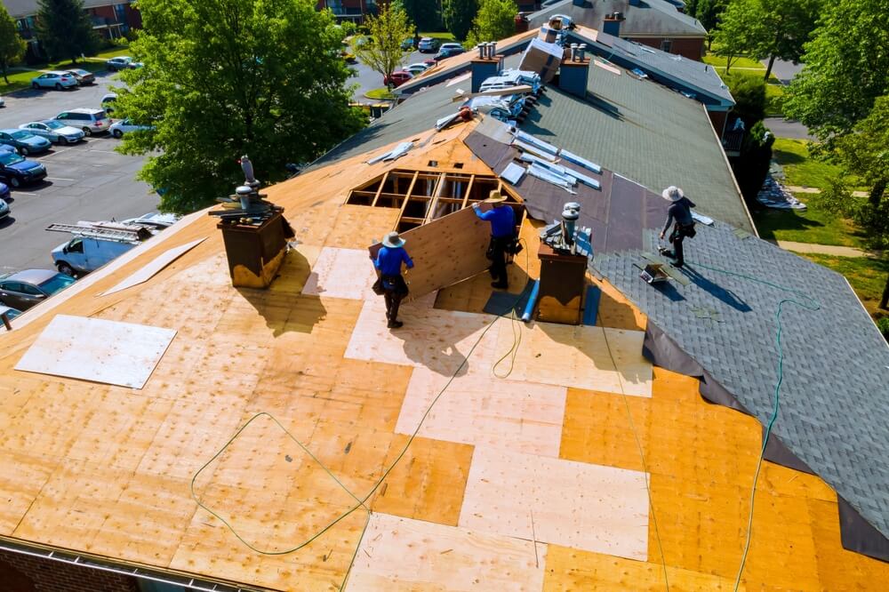 Aerial view of several workers on a large rooftop in Belle Chasse, installing new plywood sheathing and shingles. The roof is partially covered, with visible wooden panels and sections of asphalt shingles, surrounded by lush green trees and parked cars.