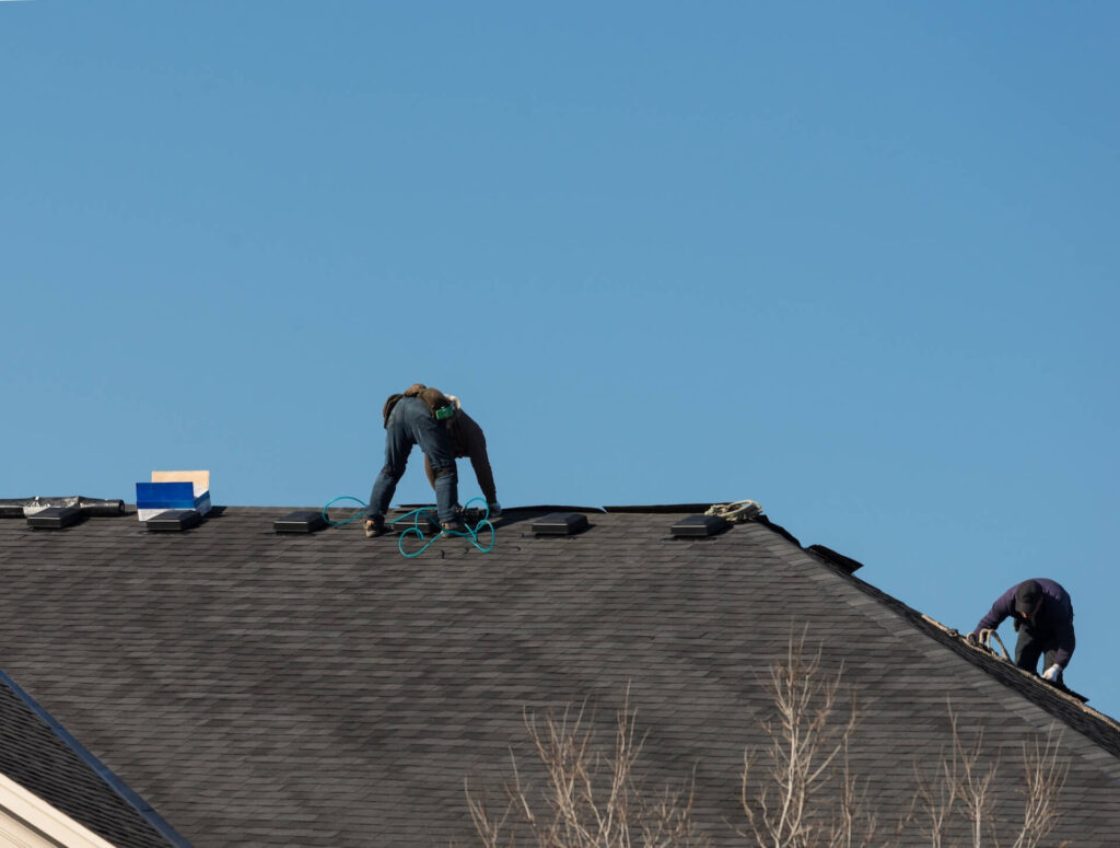 Two workers from a roofing company in New Orleans are on a dark shingled roof under a clear blue sky, securing or installing roofing materials. One is bent over with safety equipment, while the other kneels near the edge. Sparse tree branches are visible at the bottom.